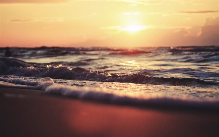 the beach, sea, wave, sunset, evening