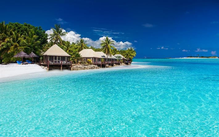 the ocean, tropical island, bungalow, the beach, palm trees, blue sky