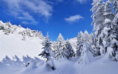 paysage d'hiver, alinci, montagnes, neige, hiver, arbre, forêt enneigée, gori