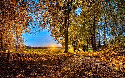 otoño, la carretera, el amarillo de los árboles, valle, cielo azul, puesta de sol, blakytne el cielo, el evento