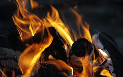 chama, fogo, madeira, carvões, o fogo, derevenki, carvão