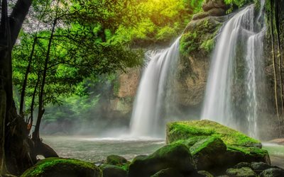 the lake, green forest, waterfall, skelia, rock, private