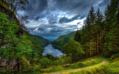 forest, mountains, tree, the lake, beautiful scenery