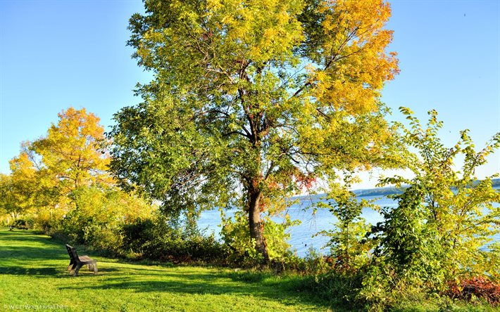 outono, pôr do sol, o lago, árvores, eua, lago onondaga, parque, liverpool