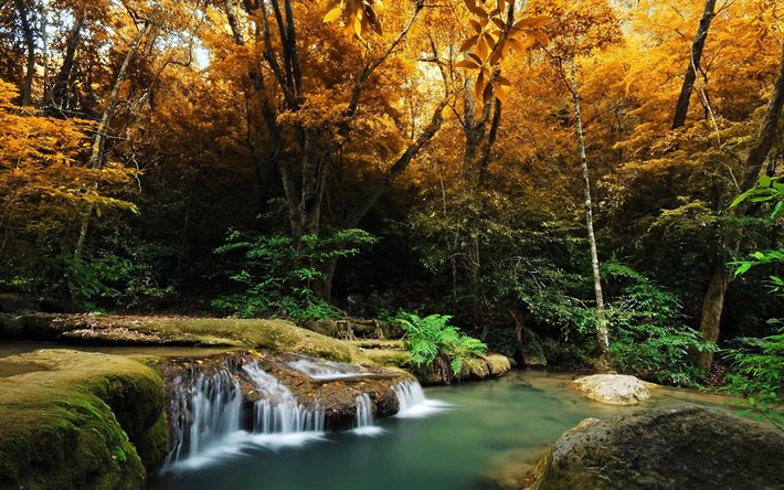 滝, 秋, 湖, 森林, 秋の景観