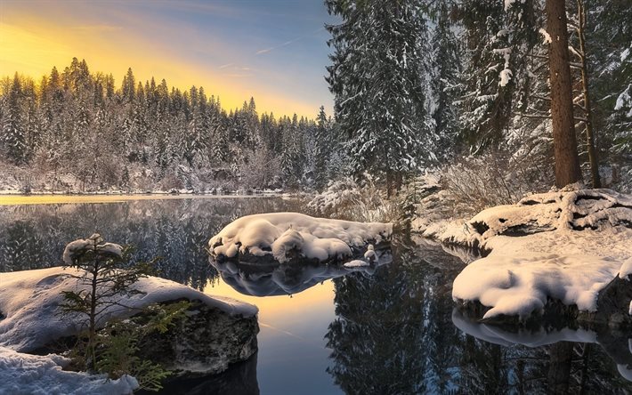 the lake, winter, forest, snow, morning