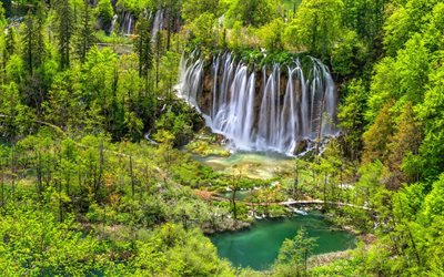 森林, plitvice湖, クロアチア, 湖, 滝, plitvice