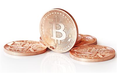 بيتكوين, bitcoins, مفهوم, القطع النقدية, شبكة الدفع