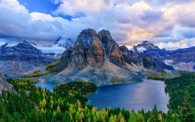 les montagnes, le rock, le lac, la forêt, le paysage, le canada, l'alberta