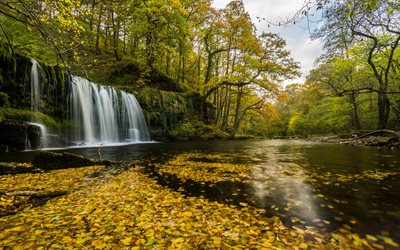 paisagem de outono, cachoeira, outono, rio, privado