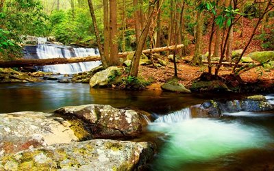 strumok, the cascade of waterfalls, forest, wodospady, autumn, stream, waterfalls