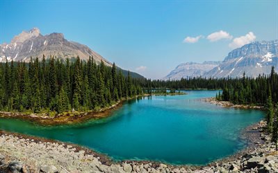 mountains, forest, blue lake, canada