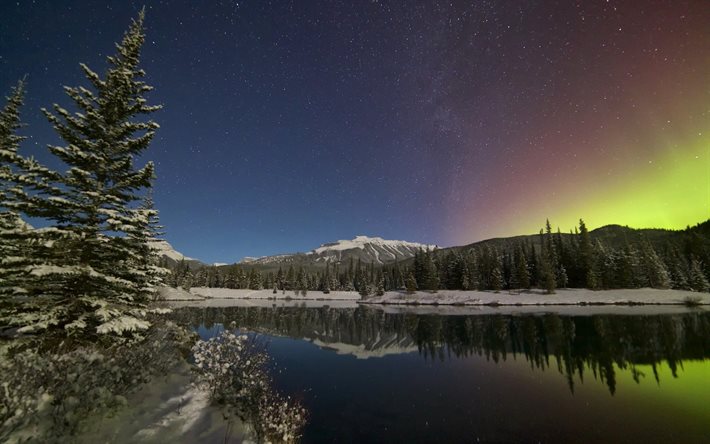 alberta, aşağıda, Kuzey ışıkları, kış, kar, göl, orman, Yıldızlı Gökyüzü, Kanada