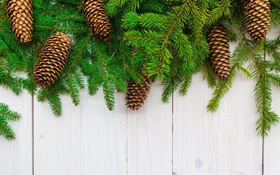 green christmas tree, cones, board, spruce