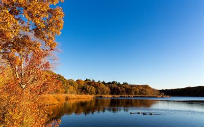 秋の景観, 秋, ma, 湖, 米国