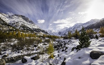 mountains, de la neige, arbre, hiver, suisse, grisons