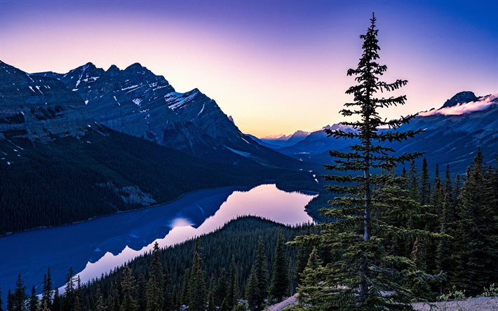 lac peyto, 4k, été, forêt, parc national de banff, couvrants canadiens, coucher de soleil, montagnes, photos avec des lacs, belle nature, banff, canada, alberta