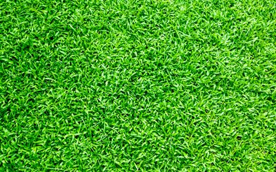 4k, texture d'herbe verte, pelouse, texture du terrain de football, texture d'herbe, fond d'herbe verte, fond de pelouse, textures naturelles