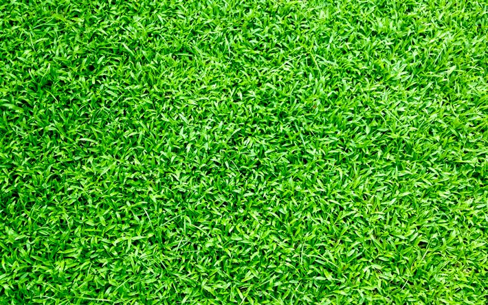 4k, 緑の草のテクスチャ, 草の芝生, サッカー場のテクスチャ, 草のテクスチャ, 緑の草の背景, 芝生の背景, 自然な風合い