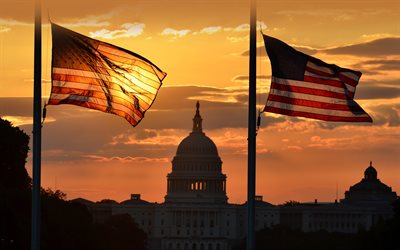 United States Capitol, american landmarks, sunset, american flags, flagpoles, US Capitol, Washington, USA, America