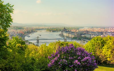 बुडापेस्ट, डेन्यूब, सेजेन्नी चेन ब्रिज, हंगेरियन पार्लियामेंट बिल्डिंग, बडापेस्ट पैनोरमा, शाम, बुडापेस्ट सिटीस्केप, हंगरी
