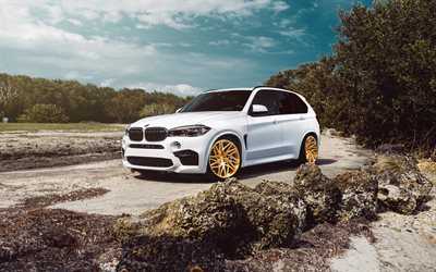 Suv, 2016, BMW X5M, oro ruote, bianco bmw