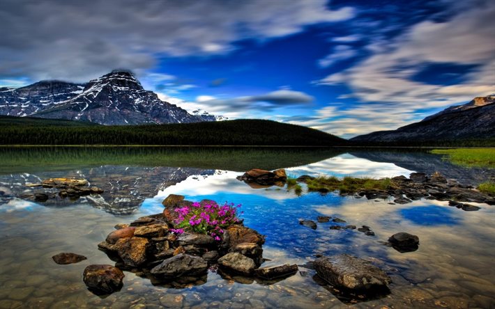 Waterfowl Lake, HDR, forest, mountains, Banff National Park, Alberta, Canada