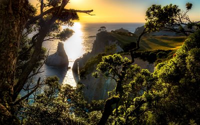 Hahei, Océan, littoral, falaise, coucher de soleil, Nouvelle-Zélande