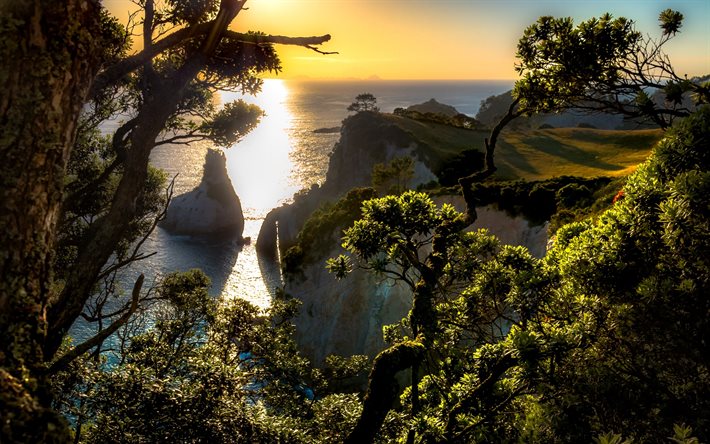 Hahei, Ocean, coast, cliff, sunset, New Zealand