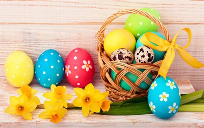 Pâques, le printemps, les jonquilles, les oeufs de pâques, les décorations de noël