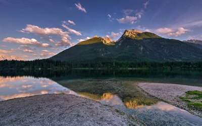 mountain, lake, mountain lake, ducks, forest, sunset, evening
