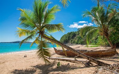 Madagascar, Indian Ocean, tropical island, beach, palm trees, coast, palm tree near the sea, travel, turquoise lagoon, ocean