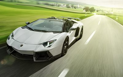 Lamborghini Aventador Roadster, supercars, la route, le mouvement, l'Aventador blanche