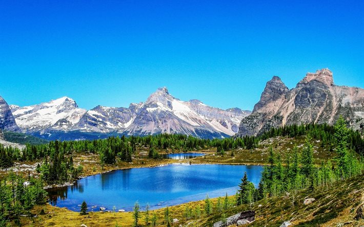 Yoho Ulusal Park, Mavi Gökyüzü, göl, yaz, dağlar, British Columbia, Kanada