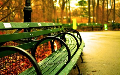 new york, central park, benches