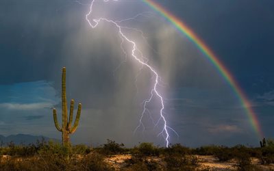 cactus, arizona desert, rainbow, lightning