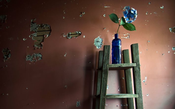 flowers, blue bottle, plaster
