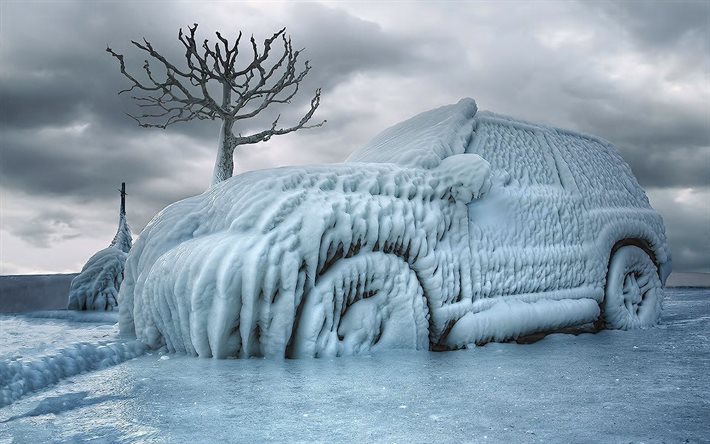 árvore, inverno, carro de gelo