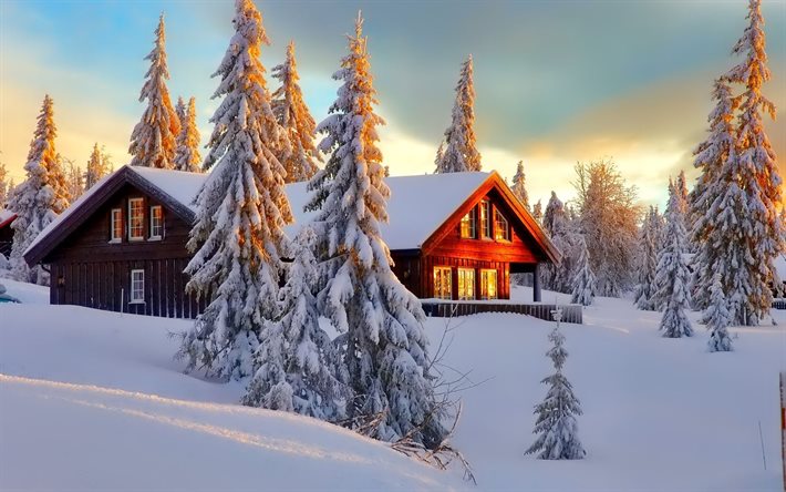 winter, forest, wooden cottage