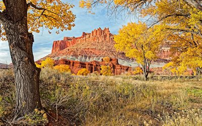 l'utah, paysage d'automne, états-unis