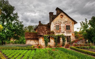 vecchio casolare di campagna, fiori, giardino, francia