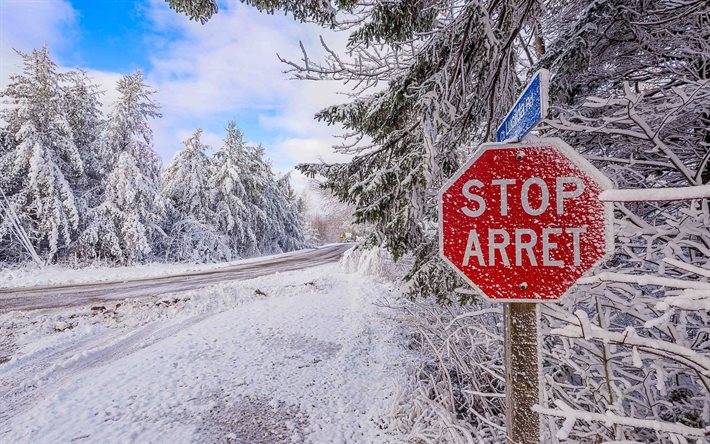 a stop sign, forest, robichaud, road, new brunswick, canada