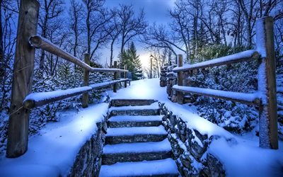 冬の夜, 雪, シティパーク, ナバセラダ, スペイン