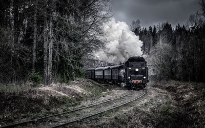 de tren, la locomotora, el bosque, el tren