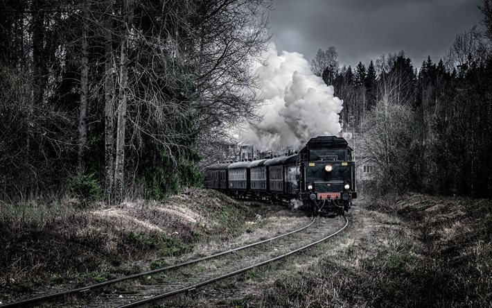 railway, locomotive, forest, train