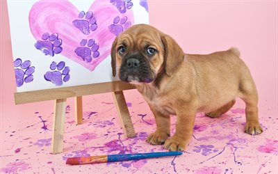 pincel, cavalete, pintura, cachorro-artista