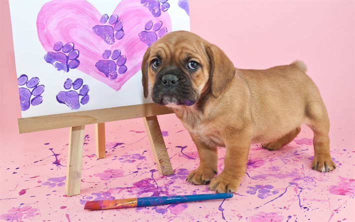 ブラシ, イーゼル, 塗装, 子犬のアーティスト