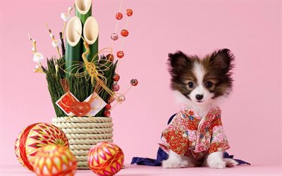 ikebana, el kimono, el bambú, el perro, sakura