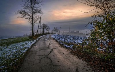 la niebla, la carretera, lúgubre mañana, el asfalto, el paisaje rural