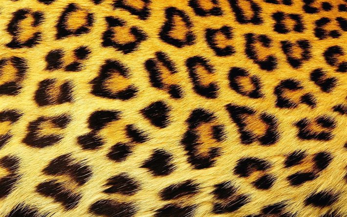 spotted, fur, texture